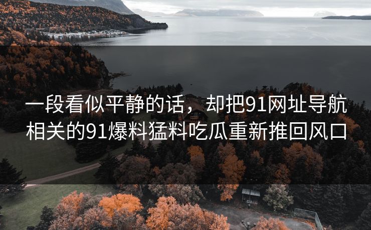 一段看似平静的话，却把91网址导航相关的91爆料猛料吃瓜重新推回风口