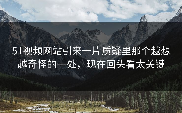 51视频网站引来一片质疑里那个越想越奇怪的一处，现在回头看太关键