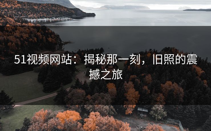51视频网站：揭秘那一刻，旧照的震撼之旅