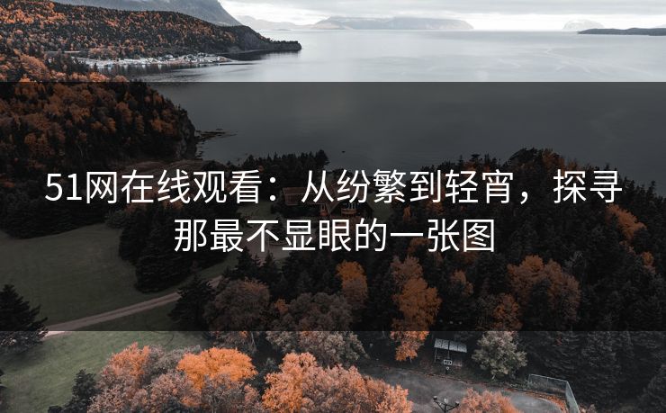 51网在线观看：从纷繁到轻宵，探寻那最不显眼的一张图