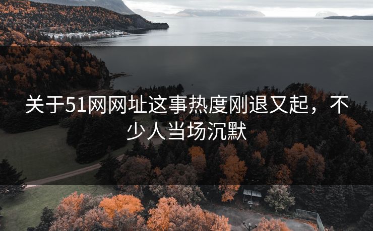关于51网网址这事热度刚退又起，不少人当场沉默