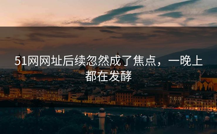 51网网址后续忽然成了焦点，一晚上都在发酵
