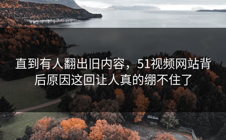 直到有人翻出旧内容，51视频网站背后原因这回让人真的绷不住了